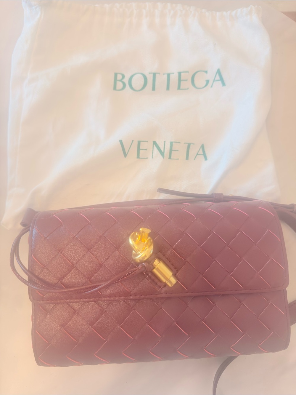 Bottega Faux Andiamo Crossbody Bag